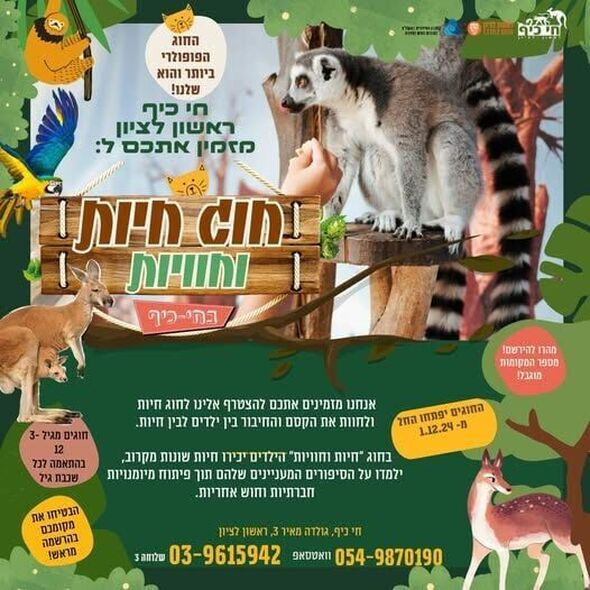 צילום מתוך דף הפייסבוק חי-כיף, גן החיות ראשון לציון