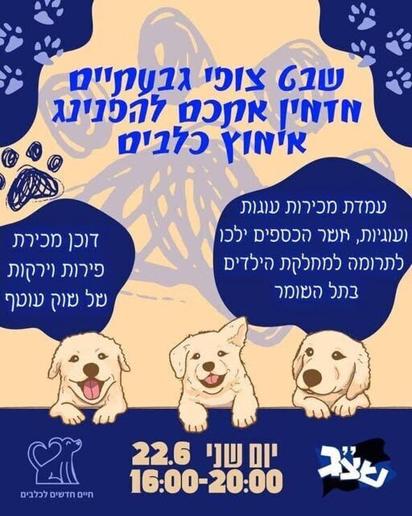 צילום מתוך דף הפייסבוק צופי גבעתיים פורום הורים