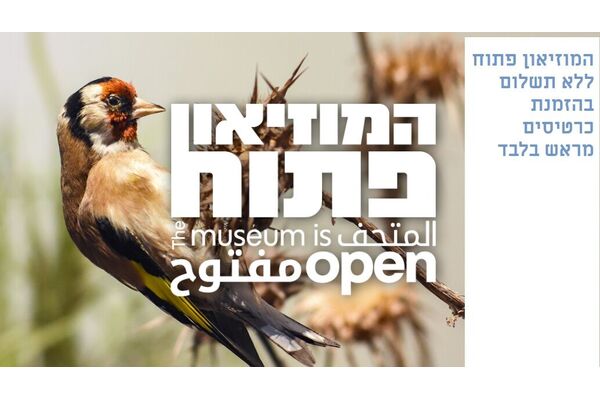 צילומים: מוזיאון הטבע