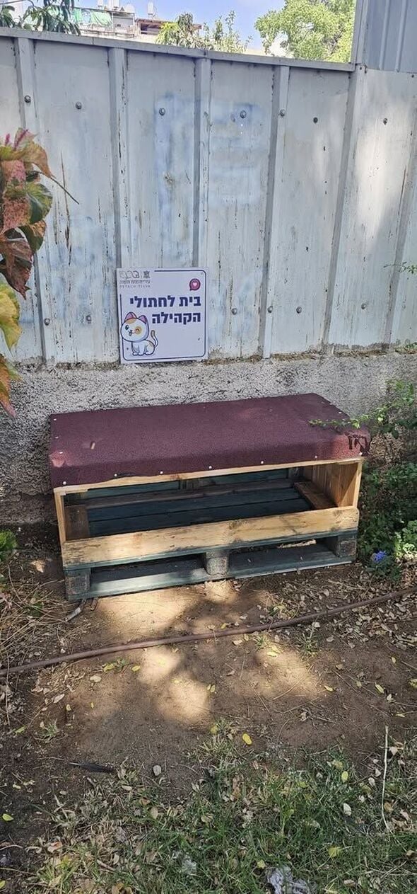 צילום מתוך דף הפייסבוק צדוק בן משה - סגן ראש העיר פ"ת