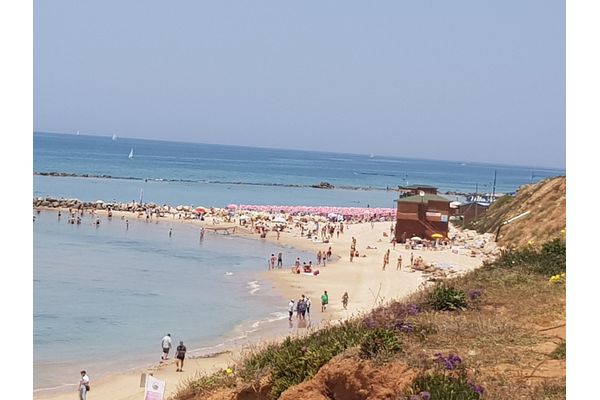 ע
