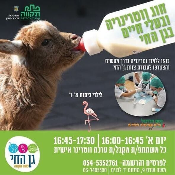 צילום מתוך דף הפייסבוק רמי גרינברג