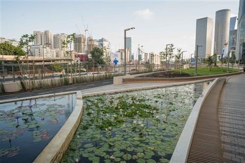 צילום: אילן ספירא