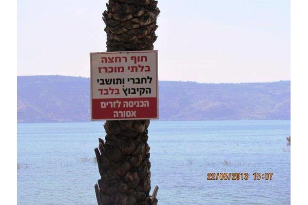 צילום - אלי גבאי