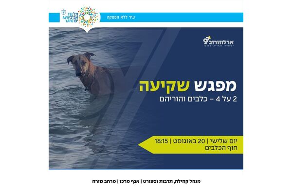 צילום מתוך דף הפייסבוק ארלוזורוב 97 -