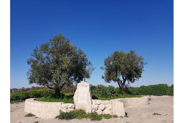צילום דף הפייסבוק של המאבק