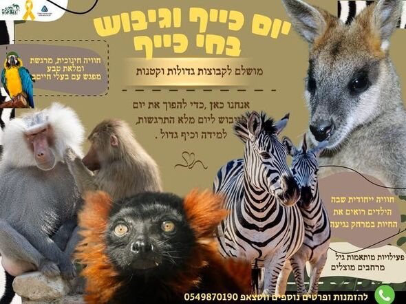 צילום מתוך דף הפייסבוק חי-כיף, גן החיות ראשון לציון