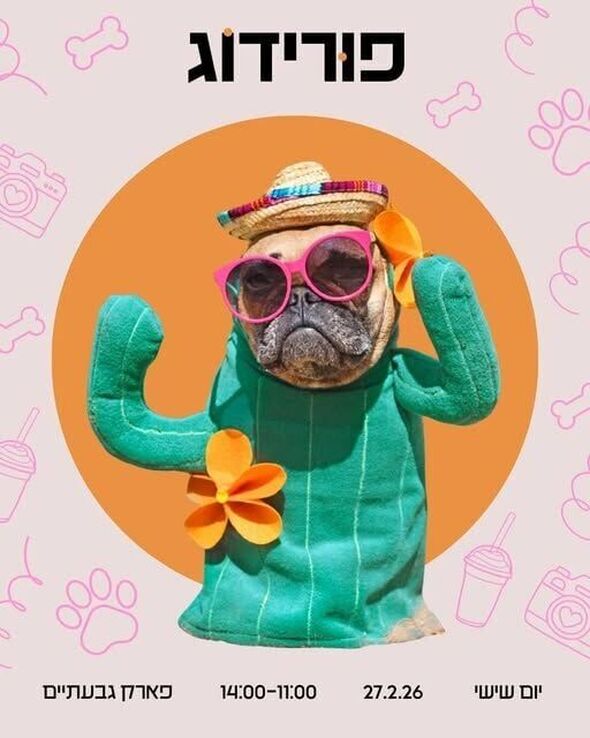 צילום מתוך דף הפייסבוק הטרקלין - המרחב של צעירי גבעתיים