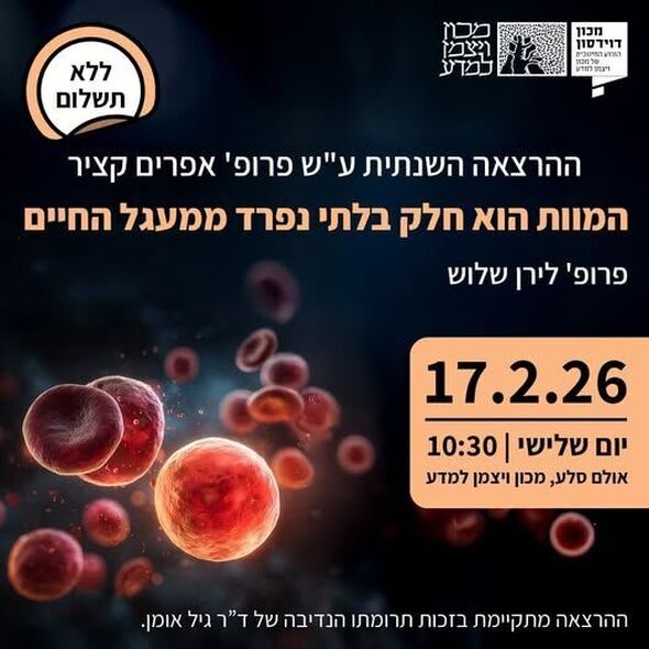 צילום מתוך דף הפייסבוק דוידסון און-ליין