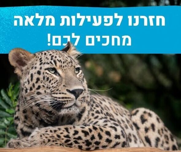 צילום מתוך דף הפייסבוק ספארי רמת גן  Ramat Gan Safari