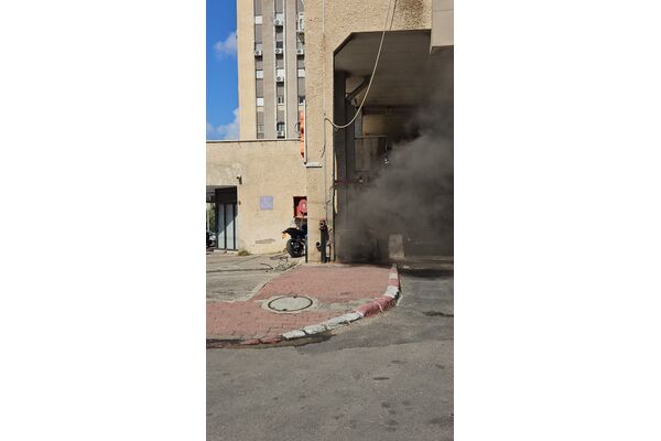 עמית שריקי, דורי רוזן