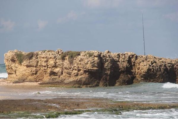 צילום - דוד מטודי