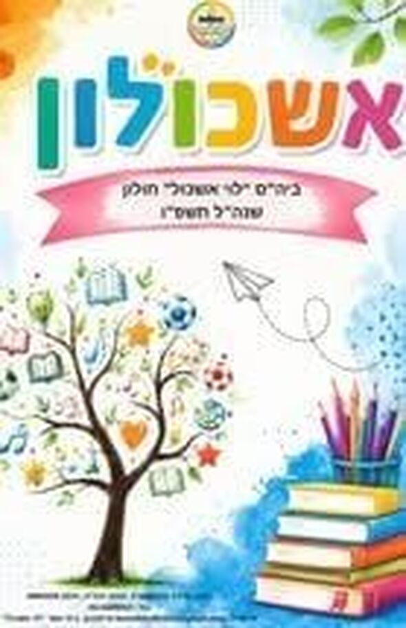 צילום מתוך דף הפייסבוק בית ספר "לוי אשכול" חולון