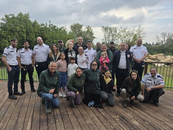 דוברות ספארי