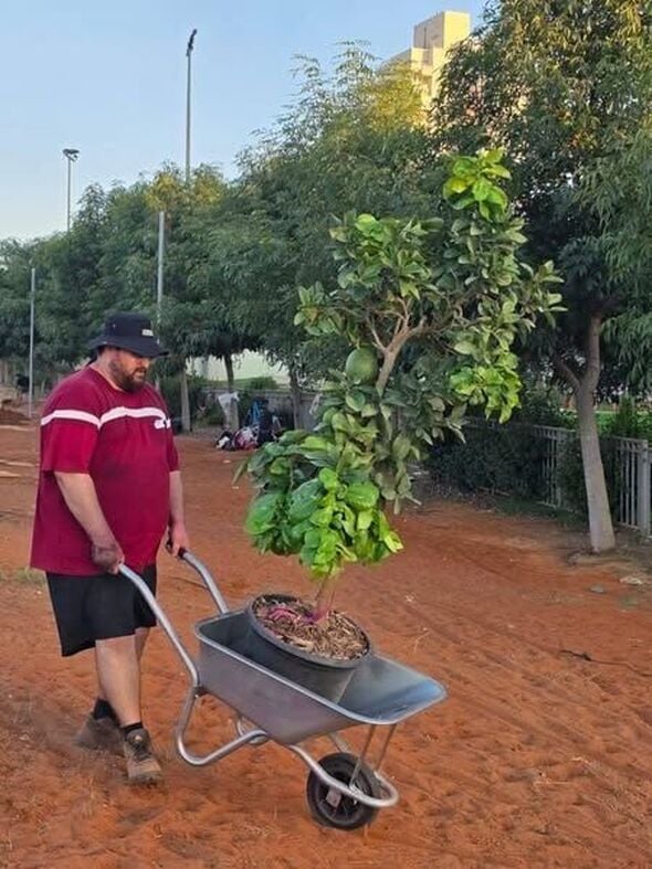צילום מתוך דף הפייסבוק רמי גרינברג