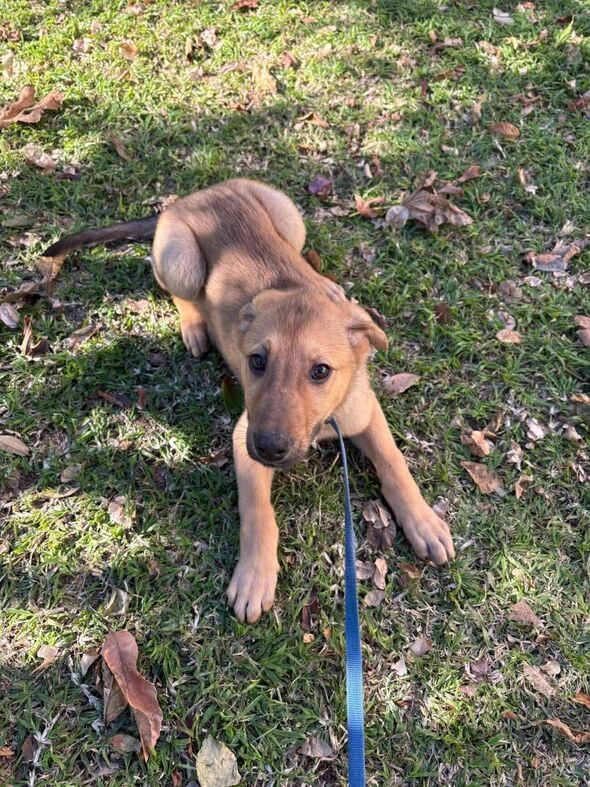 צילום: יחצ בילו סנטר