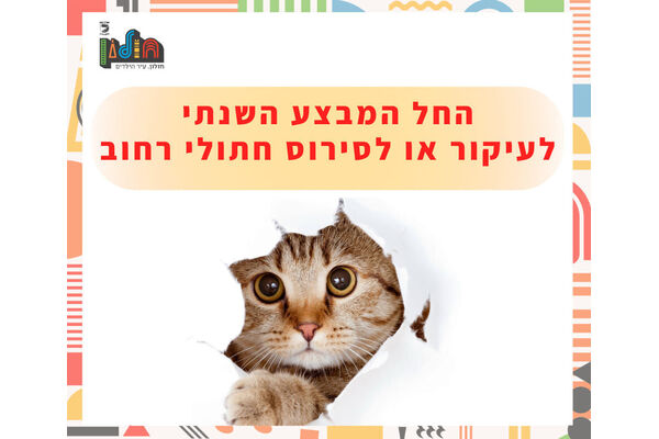 צילום מתוך דף הפייסבוק עיריית חולון