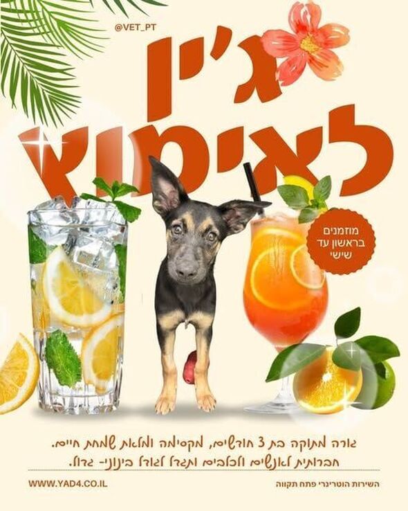 צילום מתוך דף הפייסבוק רמי גרינברג