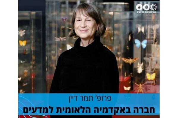 צילום:יעל צור