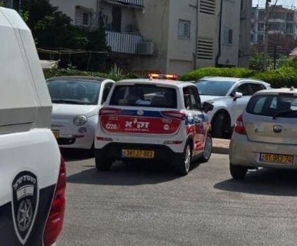 דוברות זק"א