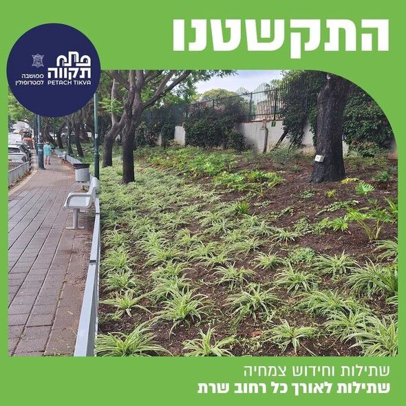צילום מתוך דף הפייסבוק רמי גרינברג