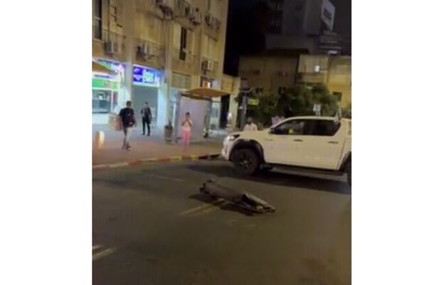 תמונת אילוסטרציה