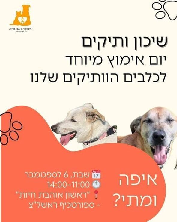 צילום מתוך דף הפייסבוק עמותת ראשון אוהבת חיות