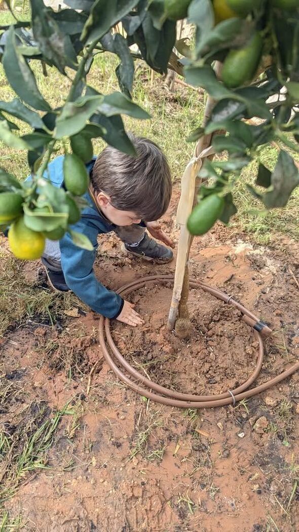 צילום מתוך דף הפייסבוק בוסתן בית טייבר