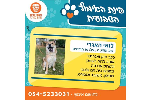 צילום מתוך דף הפייסבוק עיריית ראשון לציון