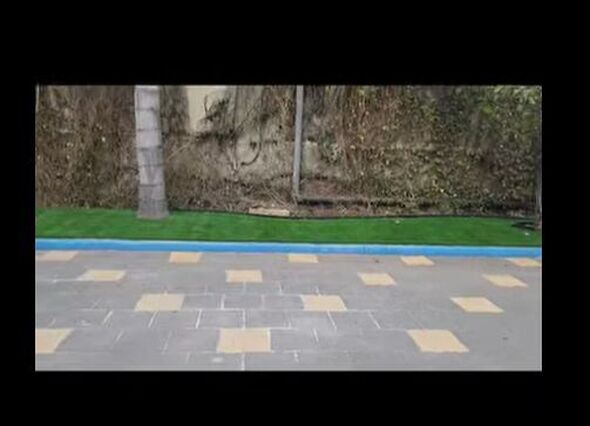 צילומים: צילום מסך