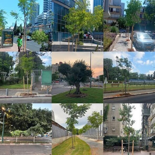 צילום מתוך דף הפייסבוק יש עתיד לרמת גן