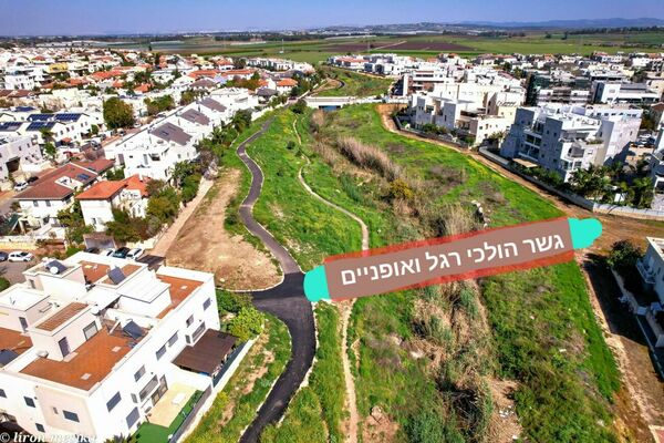 צילום: לירן מסיקה