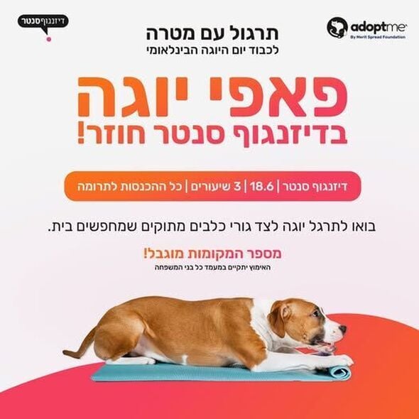 צילום מתוך דף הפייסבוק דיזנגוף סנטר תל אביב