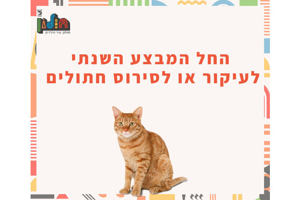 צילום מתוך דף הפייסבוק עיריית חולון