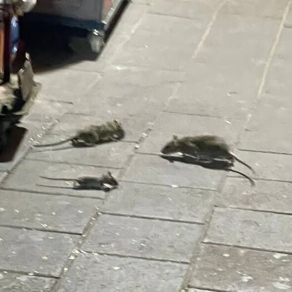 צילום מתוך דף הפייסבוק ליעד אילני - Liad Ilani