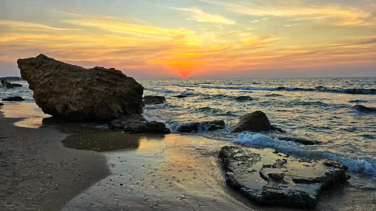 יניב כהן רשות הטבע והגנים (1)