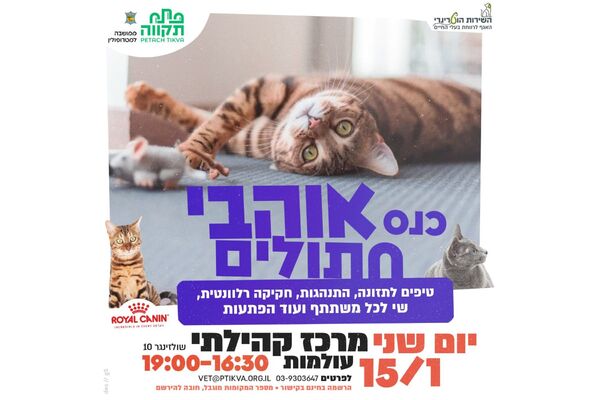 צילום מתוך דף הפייסבוק עיריית פתח תקווה