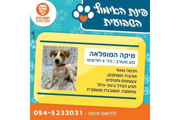 צילום מתוך דף הפייסבוק עיריית ראשון לציון