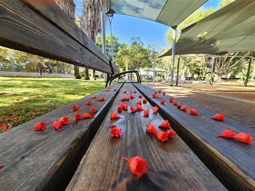 צילום: אילן ספירא צילום: אילן ספירא