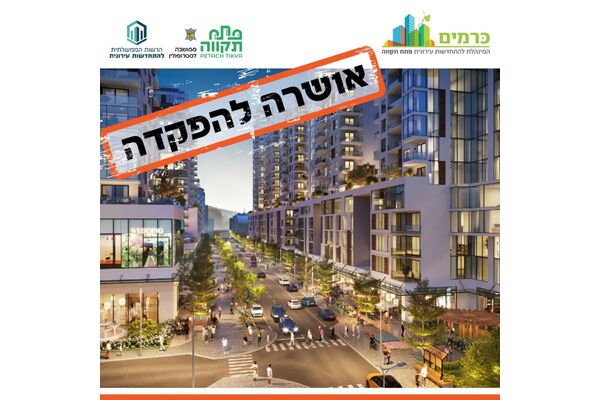 צילום:ddisign3