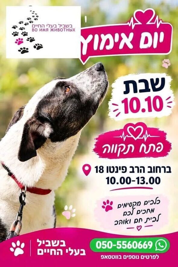 צילום מתוך דף הפייסבוק צדוק בן משה - סגן ראש העיר פ"ת