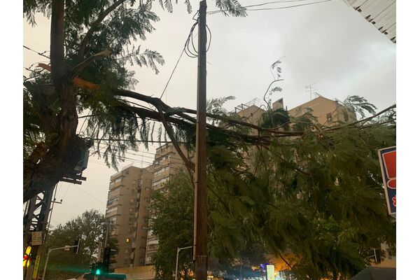 קרדיט: עיריית חולון