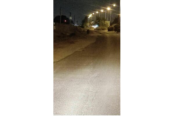 התמונה מתוך ויקיפדיה
