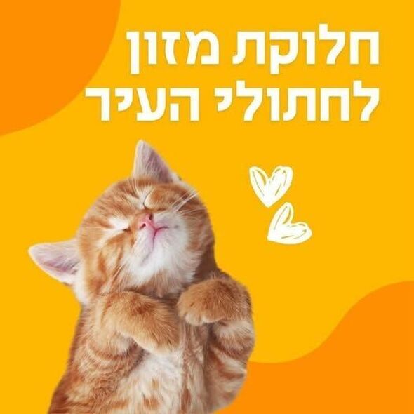 צילום מתוך דף הפייסבוק רן קוניק העמוד הרשמי