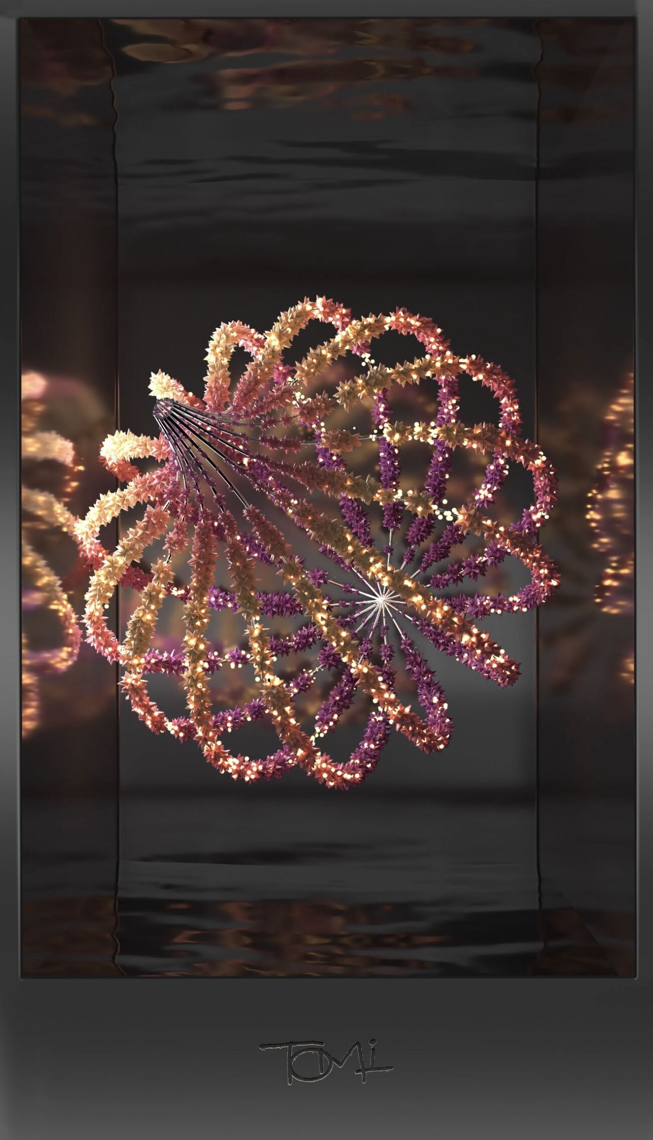 צילום טומי כהן צילום טומי כהן