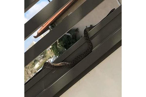צילום: איחוד הצלה וכיבוי אש