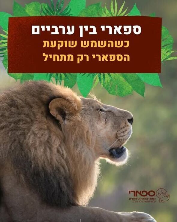 צילום מתוך דף הפייסבוק ספארי רמת גן Ramat Gan Safari