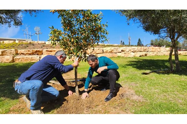 דוברות עיריית יבנה
