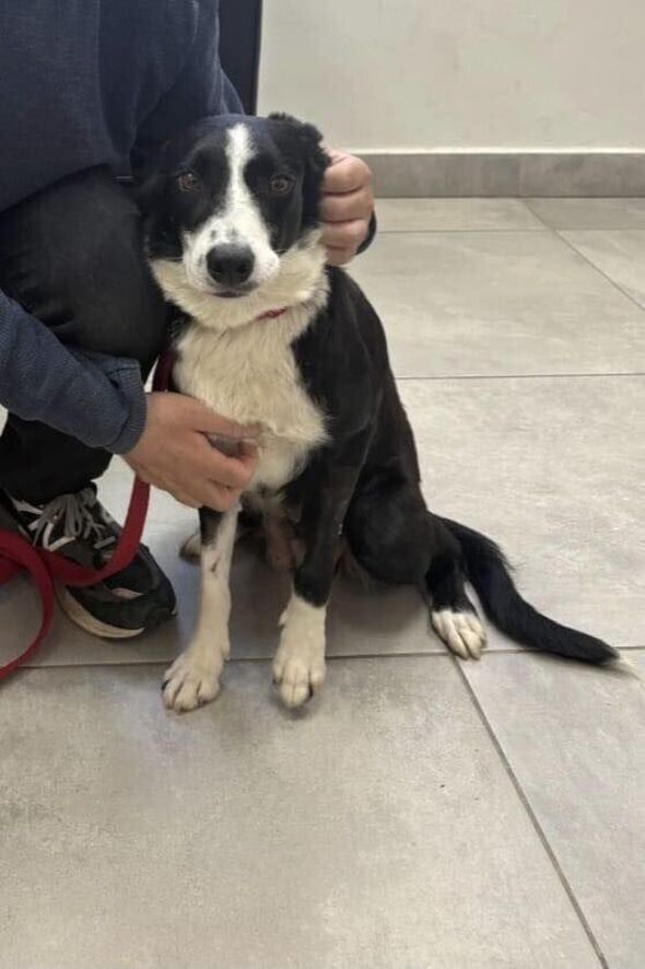 צילום מתוך דף הפייסבוק עיריית ראשון לציון