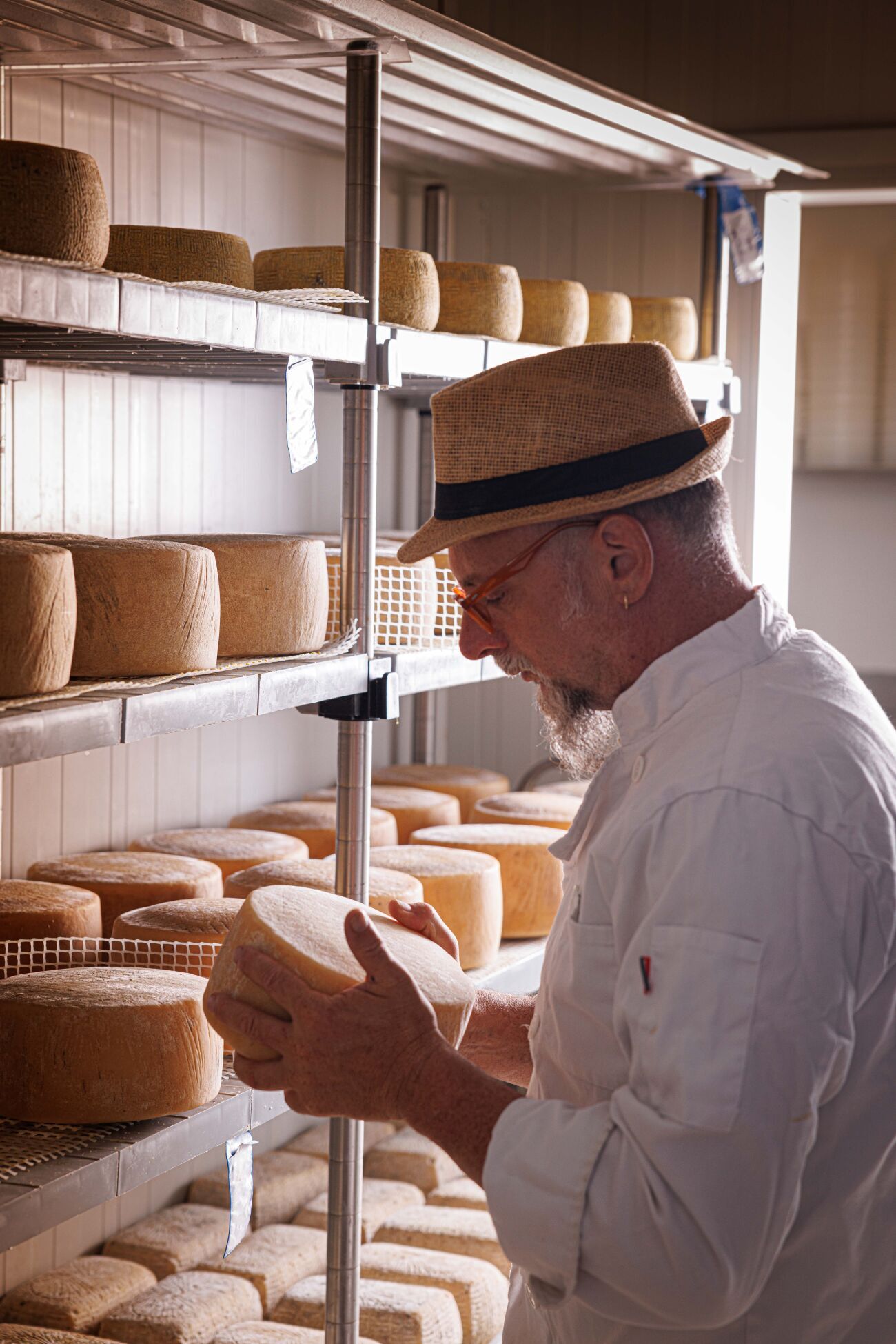 מחלבת פלורה צילום חיים יוסף